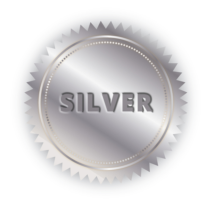 service plan silver from Benvenuti Oil in CT